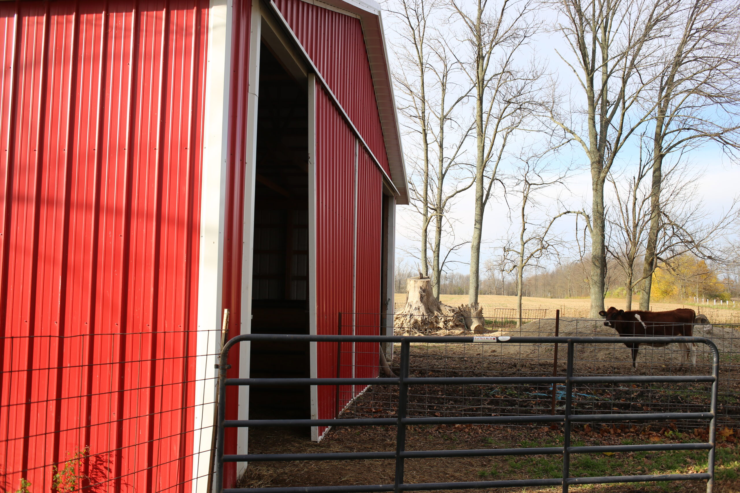 Determining the Size and Type of a Pole Barn Based on Your Needs - Image