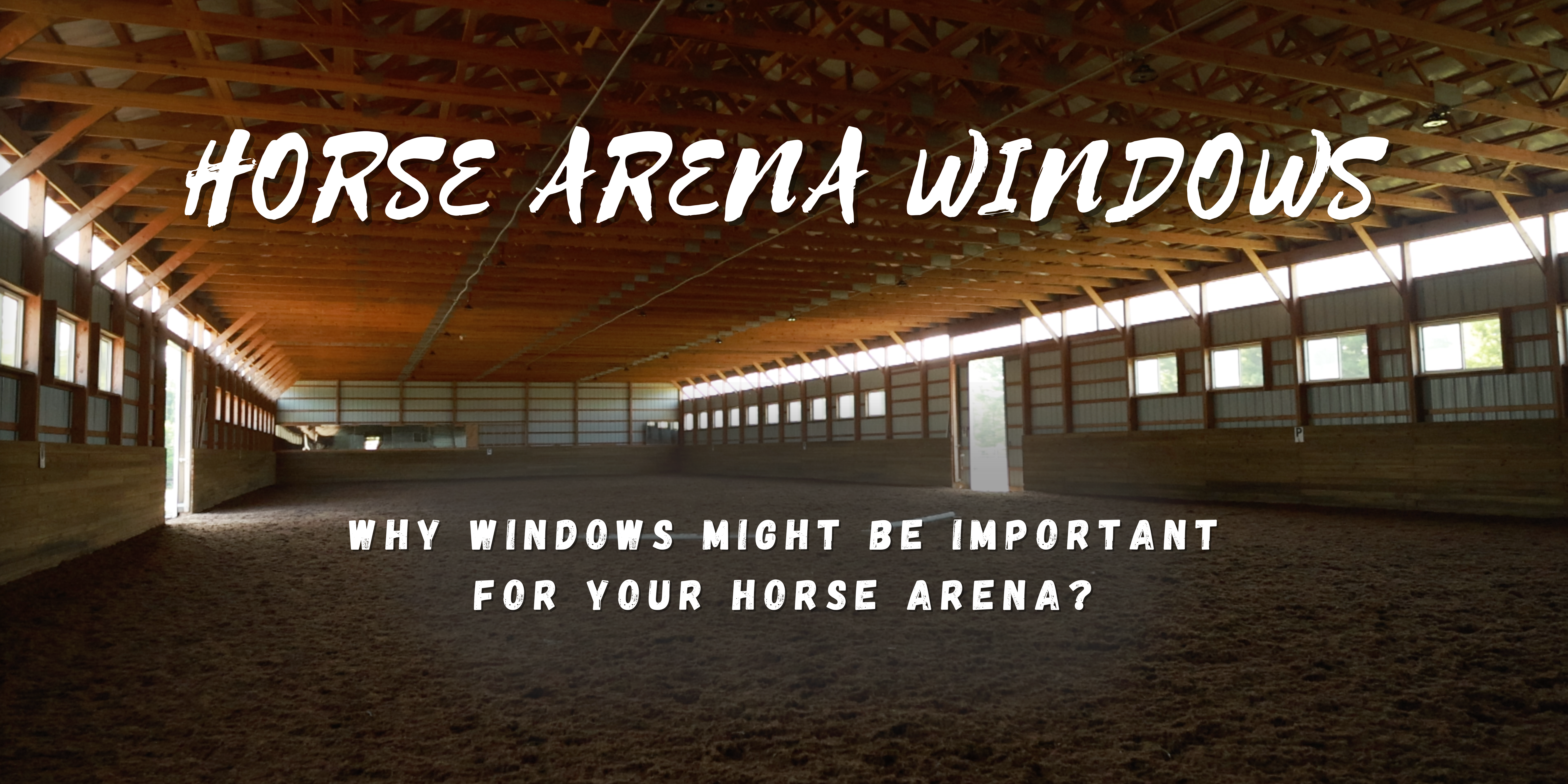 Windows for Your Horse Arena - Image