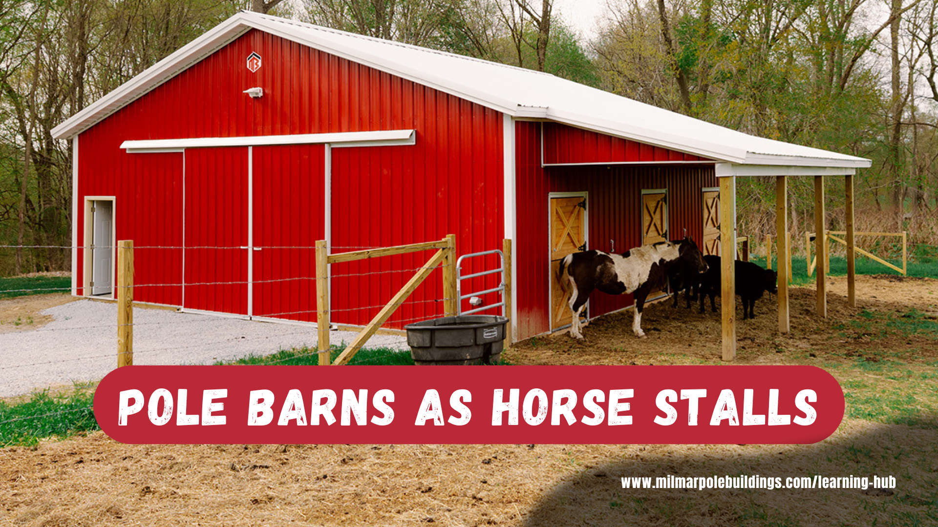 Horse Stalls - Image